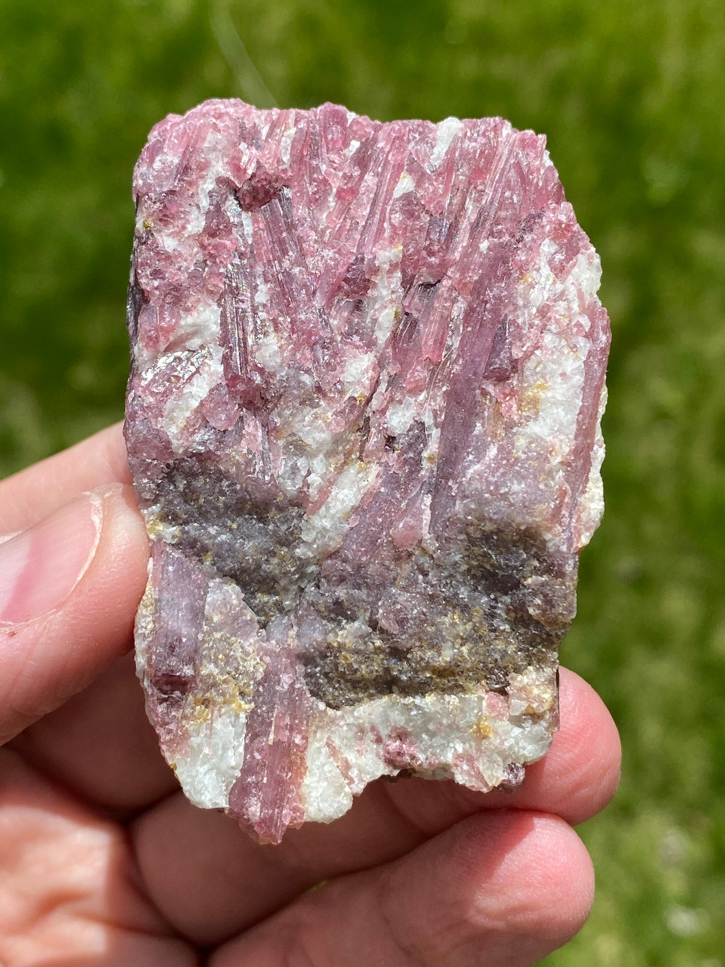 Pink Tourmaline & Blue Beryl