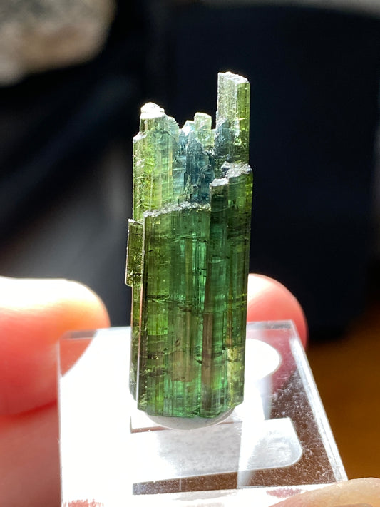 “Hollow” Tourmaline