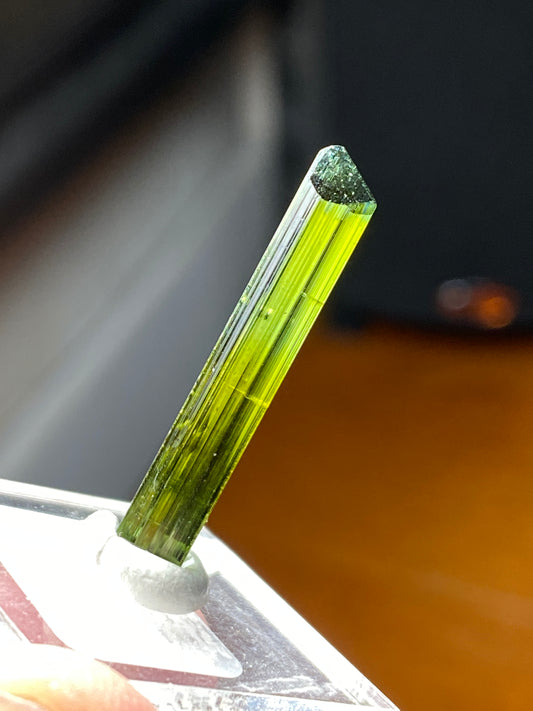 Teal-tipped Green Tourmaline
