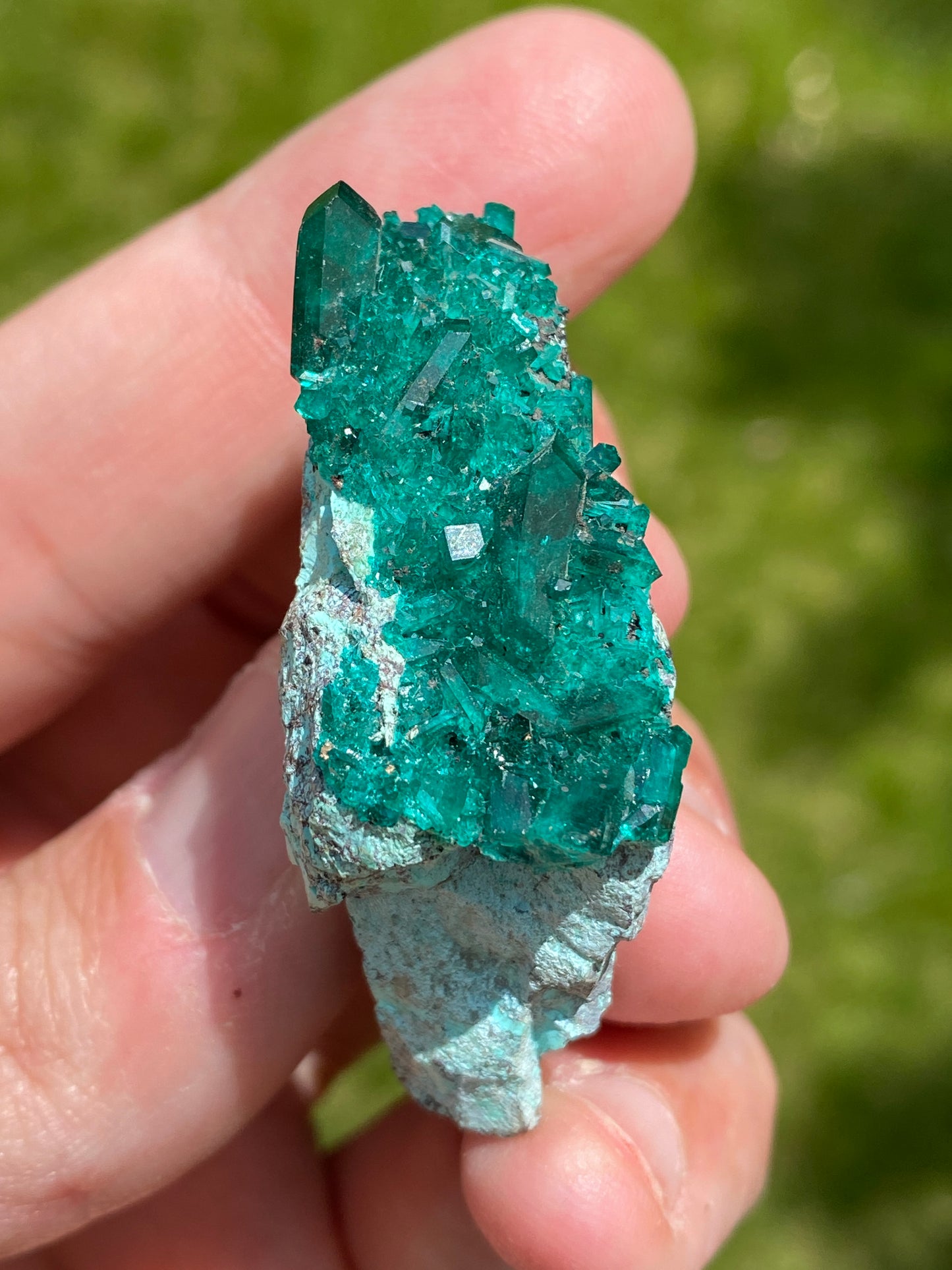 Dioptase on Chrysocolla
