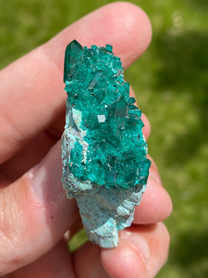 Dioptase on Chrysocolla