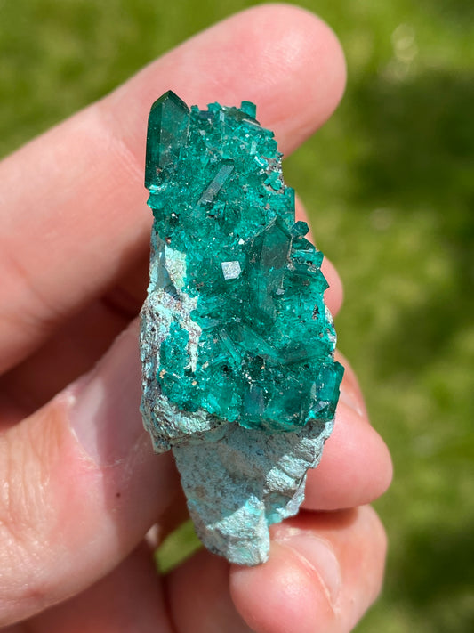 Dioptase on Chrysocolla