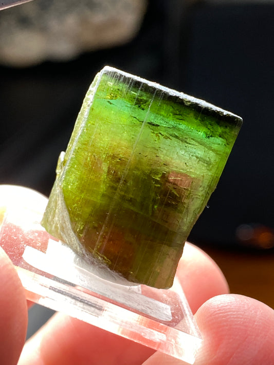 Watermelon Tourmaline