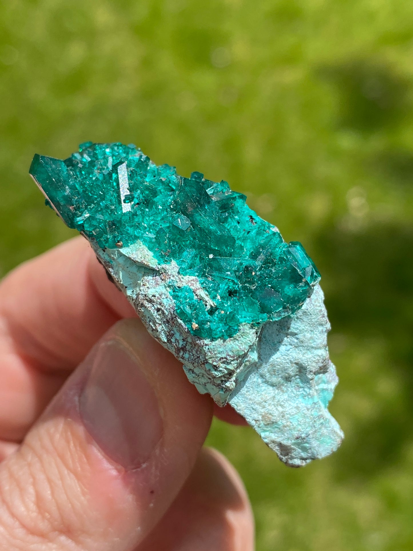 Dioptase on Chrysocolla
