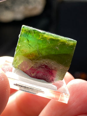 Watermelon Tourmaline