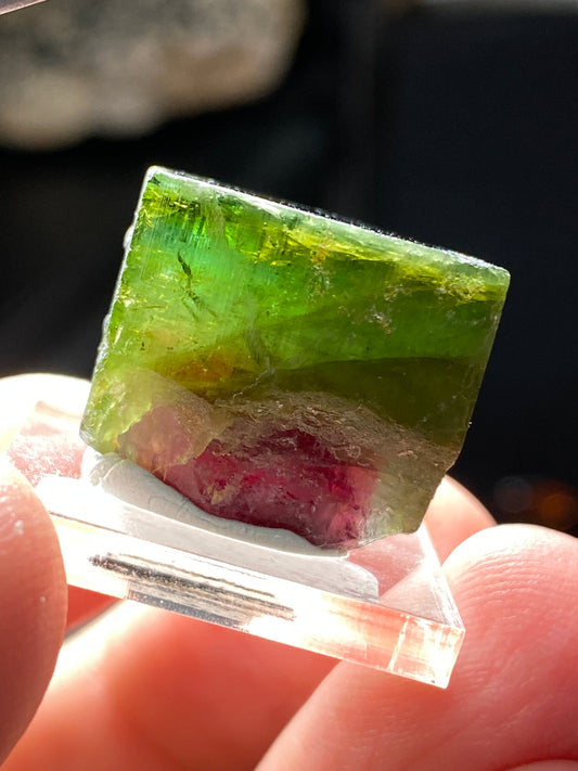 Watermelon Tourmaline