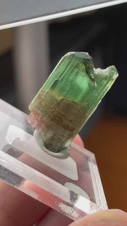 Watermelon Tourmaline Scepter