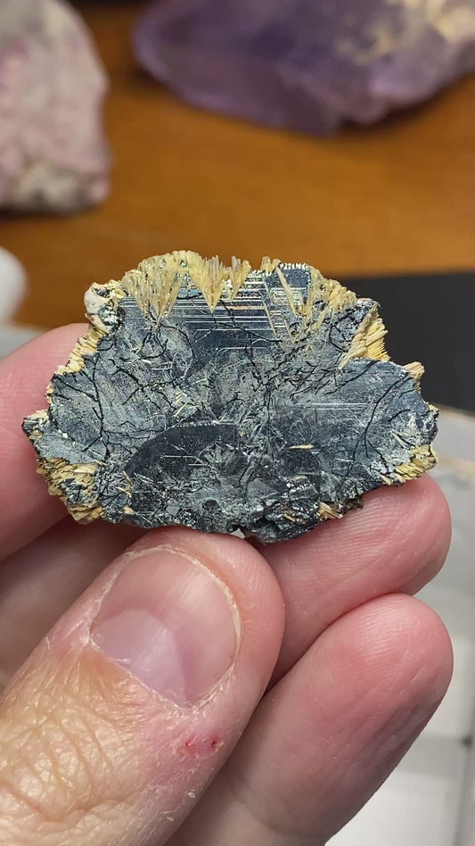 Hematite w/ Golden Rutile