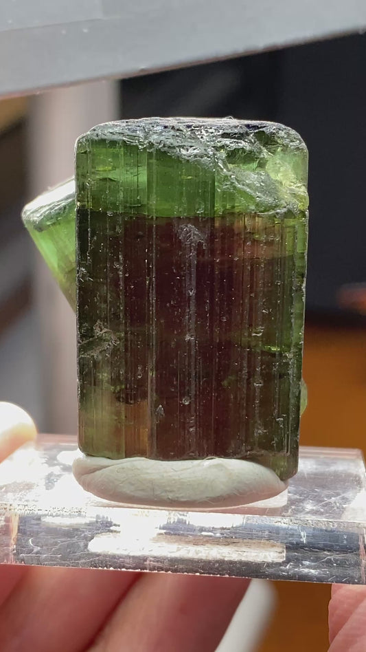 Watermelon Tourmaline & Quartz