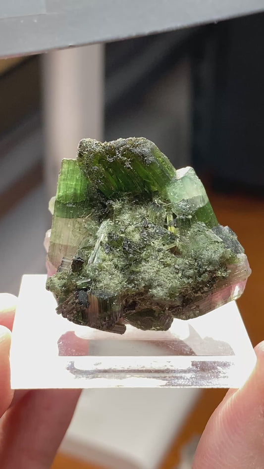 Watermelon Tourmaline Cluster