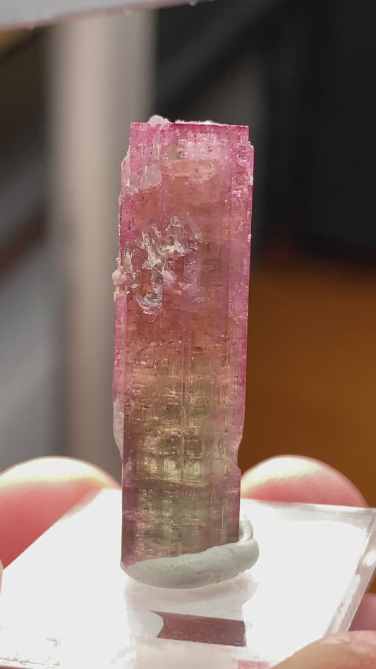 Tourmaline w/ Lepidolite